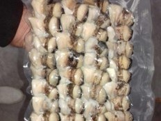 Sea Snail (Murex) meat, whole pieces, vacuum packed