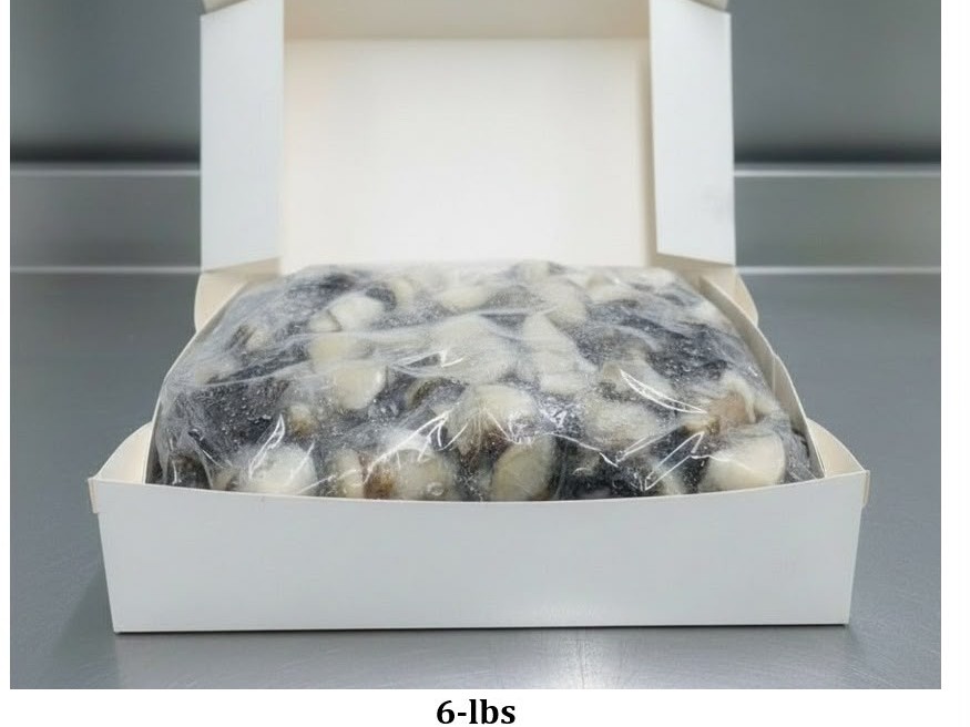 Sea Snail (Murex) meat, block frozen, 6 lb case box