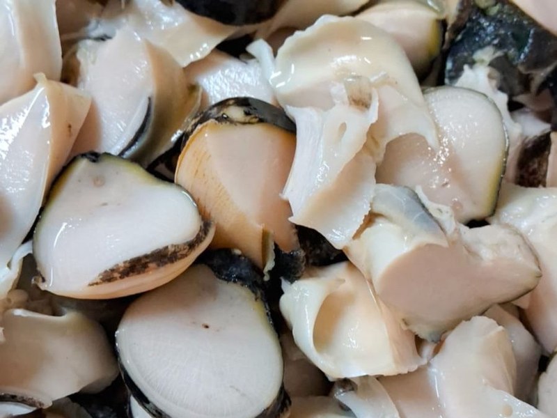 Sea Snail (Murex) meat, sliced